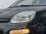 Fiat Panda bei Reisemobile.expert - Abbildung (6 / 15)