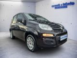 Fiat Panda bei Reisemobile.expert - Abbildung (2 / 15)