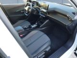 Peugeot 2008 bei Reisemobile.expert - Abbildung (15 / 15)