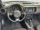VW Beetle bei Reisemobile.expert - Abbildung (11 / 15) VW Beetle bei Reisemobile.expert - Abbildung (11 / 15)