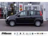 Fiat Panda bei Reisemobile.expert - Abbildung (3 / 15)