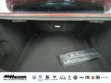 Alfa Romeo Giulia bei Reisemobile.expert - Abbildung (7 / 15)