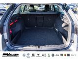 Skoda Octavia bei Reisemobile.expert - Abbildung (4 / 11)