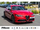 Alfa Romeo Giulia bei Reisemobile.expert - Abbildung (5 / 15)