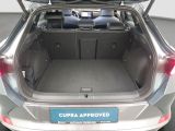 Cupra Formentor bei Reisemobile.expert - Abbildung (14 / 15)