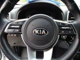 Kia Sportage bei Reisemobile.expert - Abbildung (14 / 15)