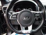 Kia Sportage bei Reisemobile.expert - Abbildung (13 / 15)