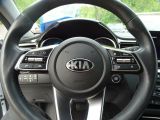 Kia XCeed bei Reisemobile.expert - Abbildung (9 / 13)