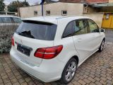 Mercedes-Benz B-Klasse bei Reisemobile.expert - Abbildung (3 / 13)