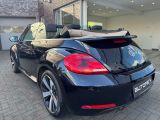 VW Beetle bei Reisemobile.expert - Abbildung (7 / 15)