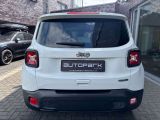 Jeep Renegade bei Reisemobile.expert - Abbildung (5 / 15)