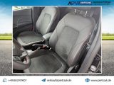 Ford Fiesta bei Reisemobile.expert - Abbildung (11 / 14)