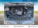 Ford C-MAX bei Reisemobile.expert - Abbildung (15 / 15)