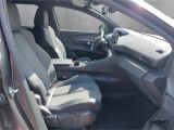 Peugeot 3008 bei Reisemobile.expert - Abbildung (13 / 15)