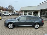Skoda Superb bei Reisemobile.expert - Abbildung (3 / 15)