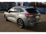 Ford Kuga bei Reisemobile.expert - Abbildung (3 / 15) Ford Kuga bei Reisemobile.expert - Abbildung (3 / 15)