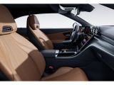 Mercedes-Benz 220 bei Reisemobile.expert - Abbildung (8 / 15)