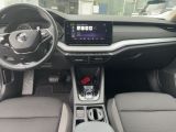 Skoda Octavia bei Reisemobile.expert - Abbildung (11 / 15)