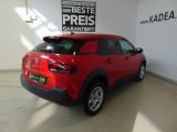 Citroen C4 Cactus bei Reisemobile.expert - Abbildung (5 / 15)