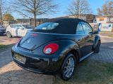 VW New Beetle bei Reisemobile.expert - Abbildung (8 / 15)