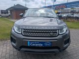 Land Rover Range Rover Evoque bei Reisemobile.expert - Abbildung (6 / 15)