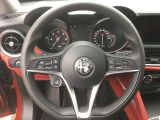 Alfa Romeo Stelvio bei Reisemobile.expert - Abbildung (7 / 15)