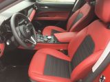 Alfa Romeo Stelvio bei Reisemobile.expert - Abbildung (6 / 15)