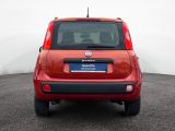 Fiat Panda bei Reisemobile.expert - Abbildung (4 / 15)