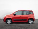 Fiat Panda bei Reisemobile.expert - Abbildung (2 / 15)