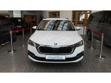 Skoda Octavia bei Reisemobile.expert - Abbildung (3 / 15)