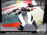 Harley-Davidson Sportster bei Reisemobile.expert - Abbildung (9 / 15)