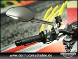 Ducati Monster bei Reisemobile.expert - Abbildung (12 / 15)