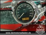 Harley-Davidson Sportster bei Reisemobile.expert - Abbildung (11 / 15)