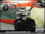 Harley-Davidson Softail bei Reisemobile.expert - Abbildung (10 / 15)