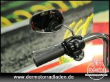 Harley-Davidson Softail bei Reisemobile.expert - Abbildung (12 / 15)