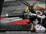 Ducati Monster bei Reisemobile.expert - Abbildung (12 / 15)