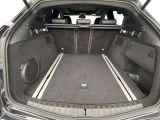 Alfa Romeo Stelvio bei Reisemobile.expert - Abbildung (11 / 15)
