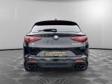 Alfa Romeo Stelvio bei Reisemobile.expert - Abbildung (6 / 15)