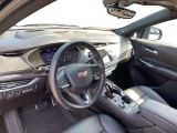Cadillac XT4 bei Reisemobile.expert - Abbildung (11 / 15)
