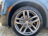 Cadillac XT4 bei Reisemobile.expert - Abbildung (5 / 15)