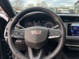 Cadillac XT4 bei Reisemobile.expert - Abbildung (11 / 15)