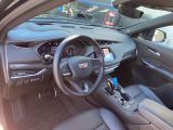 Cadillac XT4 bei Reisemobile.expert - Abbildung (11 / 15)