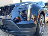 Cadillac XT4 bei Reisemobile.expert - Abbildung (4 / 15)