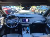 Cadillac XT4 bei Reisemobile.expert - Abbildung (14 / 15)