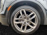 Cadillac XT4 bei Reisemobile.expert - Abbildung (5 / 15)