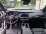 Cadillac XT4 bei Reisemobile.expert - Abbildung (15 / 15)