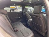 Cadillac XT4 bei Reisemobile.expert - Abbildung (14 / 15)