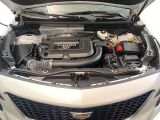 Cadillac XT4 bei Reisemobile.expert - Abbildung (7 / 15)