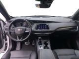 Cadillac XT4 bei Reisemobile.expert - Abbildung (14 / 15)
