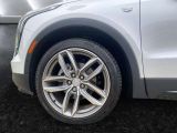 Cadillac XT4 bei Reisemobile.expert - Abbildung (5 / 15)